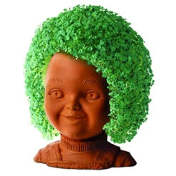 Child's Play Chucky Chia Pet -Arrma Store 2a33f51b b788 40ad b08a 27504e66cb57 59880.1646774850