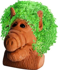 Alf Chia Pet -Arrma Store 3989864 2806508 46117.1649273530