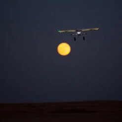 E-Flite EFL13850 Night Timber X 1.2M BNF Basic With AS3X & SAFE Select 23 E-Flite EFL13850 Night Timber X 1.2M BNF Basic With AS3X & SAFE Select -Arrma Store EFL13850 A15 AUDOLS7A 33925.1604945871